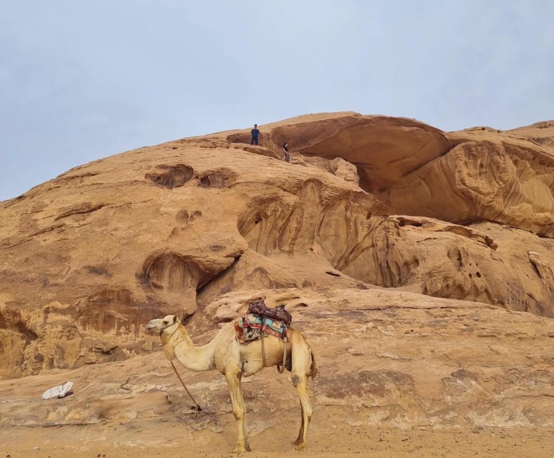 Wadi Rum Hugo Camp Eksteriør billede