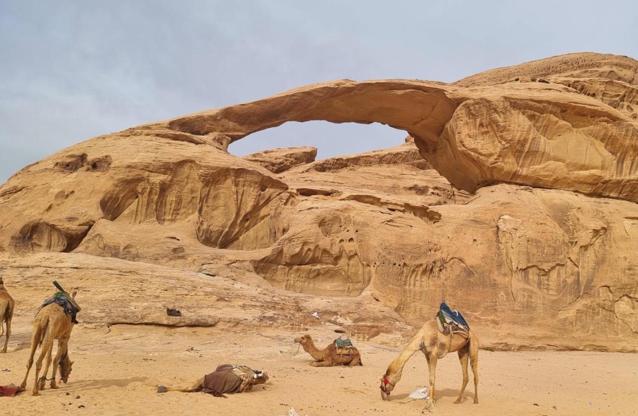 Wadi Rum Hugo Camp Eksteriør billede